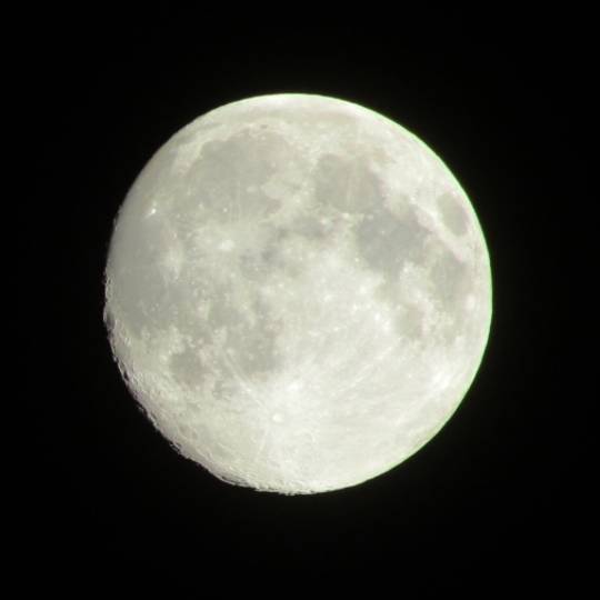 つぶやきトピ53  果てしなくお喋りは続く