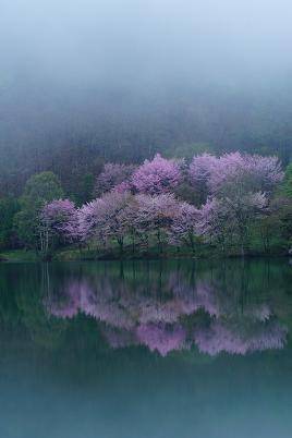 愛を込めてエアー花を、○○に～♪