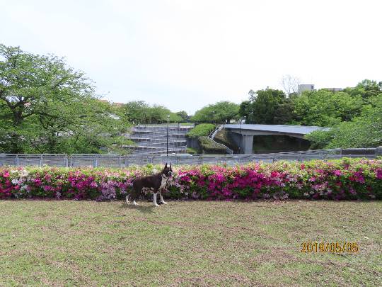 愛を込めてエアー花を、○○に～♪