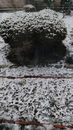 つぶやきトピ53  果てしなくお喋りは続く