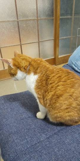 生き物ルーム第16