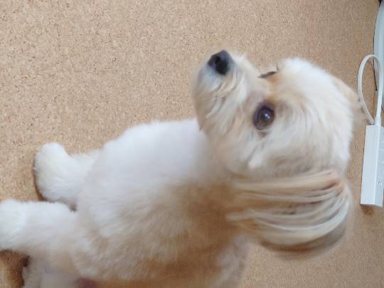 生き物ルーム第16