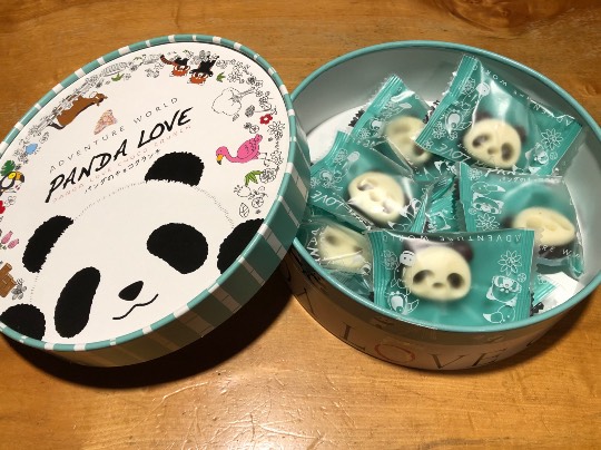 生き物ルーム第16