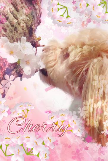 生き物ルーム第16