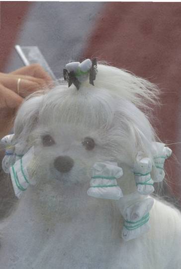 生き物ルーム第16