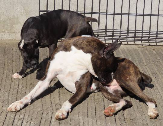 生き物ルーム第16