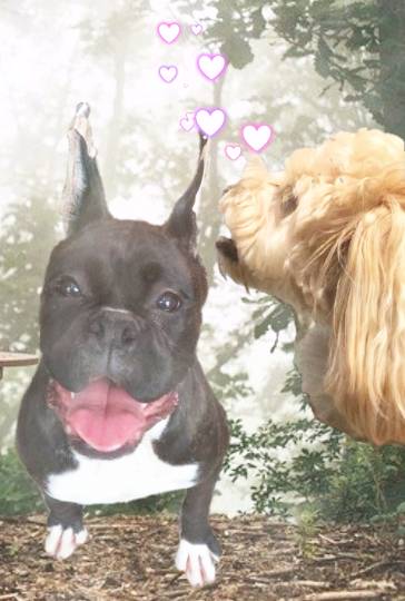 生き物ルーム第16