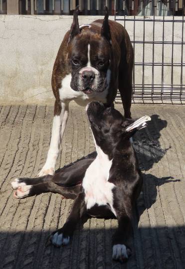 生き物ルーム第16