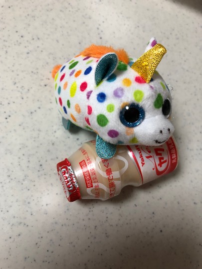 EGG'S CAFE 卵の俺達ぁ~巣籠もりのプロと言っても過言ではないな(笑)