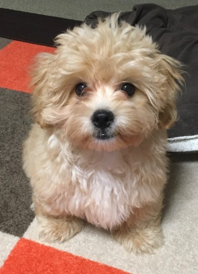 生き物ルーム第16