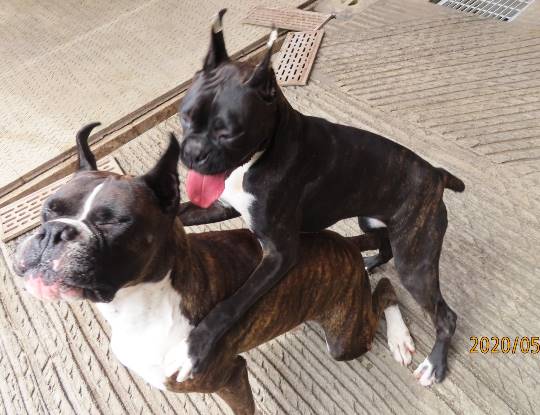 生き物ルーム第16