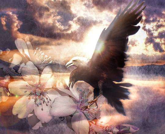 つぶやき その54 妄想は空を翔る