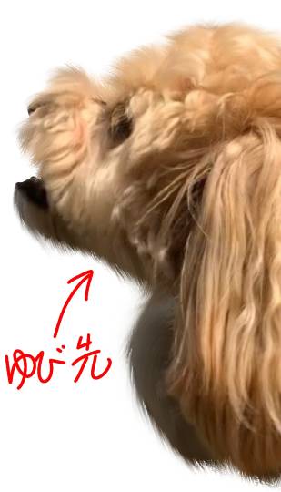 生き物ルーム第16