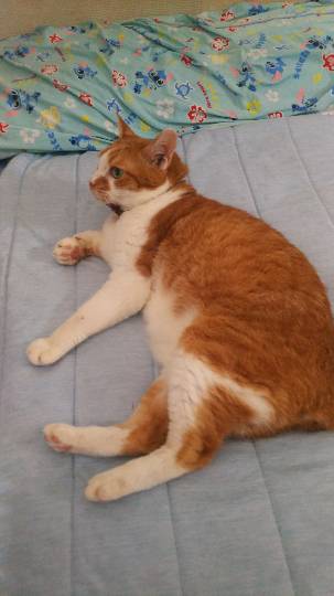 生き物ルーム第16