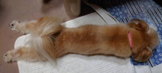 生き物ルーム第16