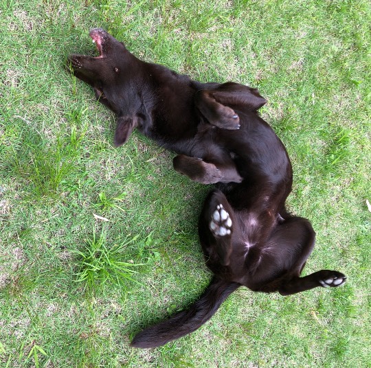 生き物ルーム第16