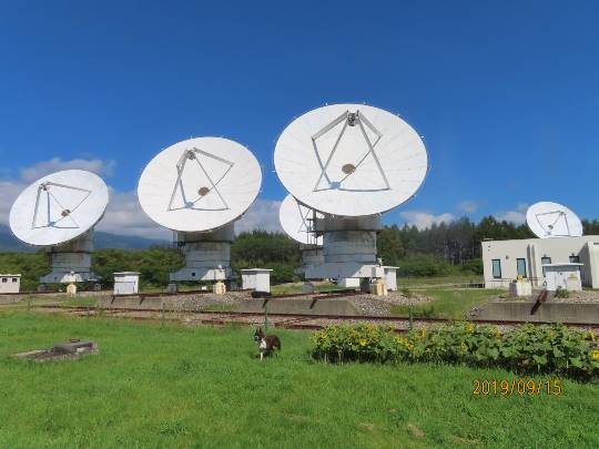 【スナックJINJIN】コロナウィルスなんてぶっ飛ばせ！３号店もよろしくネo(^-^)o