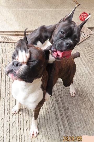 生き物ルーム第16