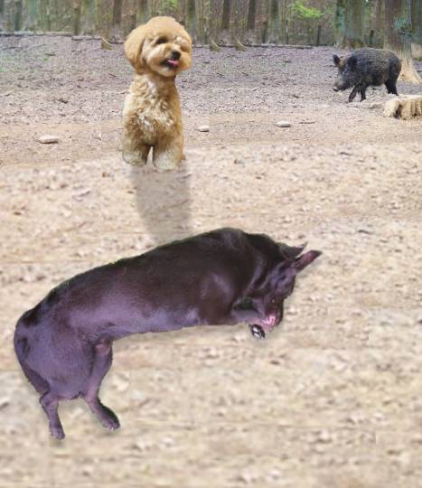 生き物ルーム第16