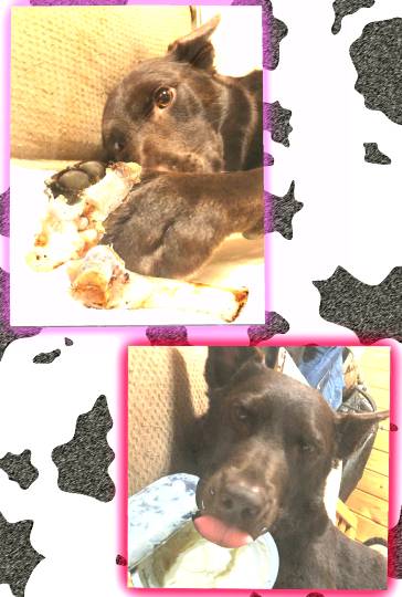 生き物ルーム第16