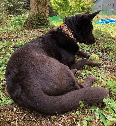 生き物ルーム第16