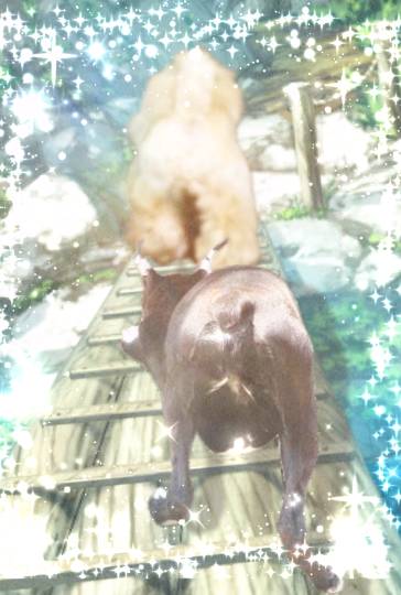 生き物ルーム第16