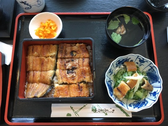 生き物ルーム第16