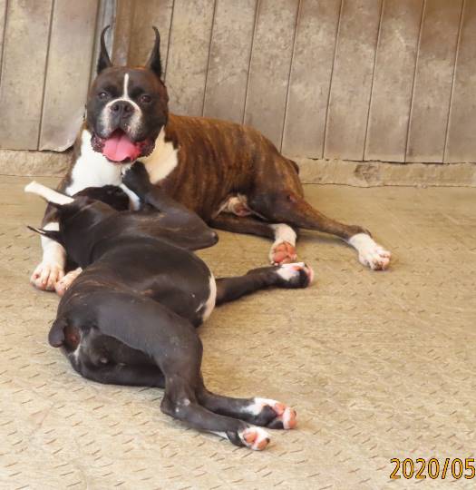 生き物ルーム第16