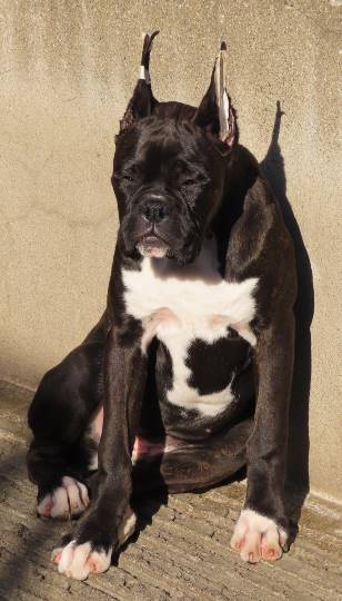 生き物ルーム第16