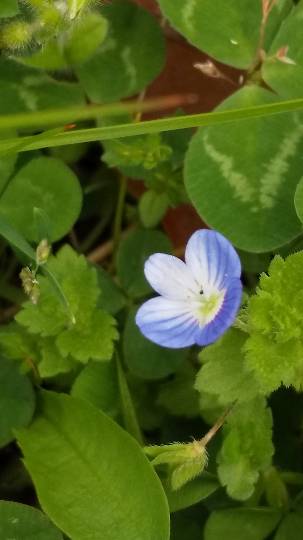 【スナックJINJIN】コロナウィルスなんてぶっ飛ばせ！３号店もよろしくネo(^-^)o