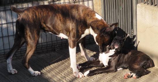 生き物ルーム第16