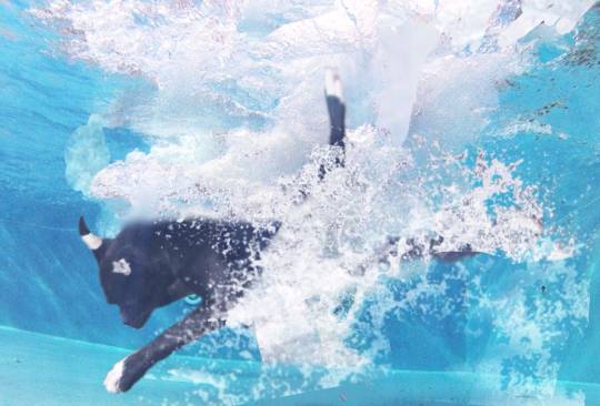 生き物ルーム第16