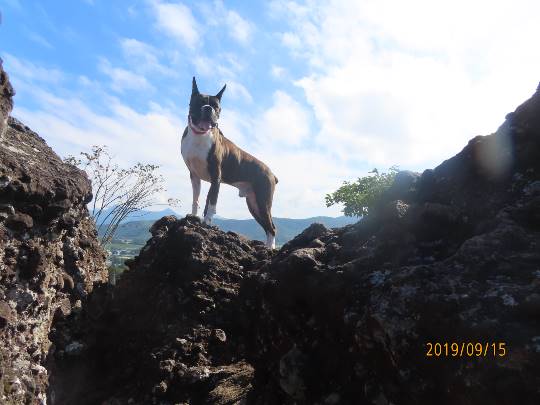 【スナックJINJIN】コロナウィルスなんてぶっ飛ばせ！３号店もよろしくネo(^-^)o