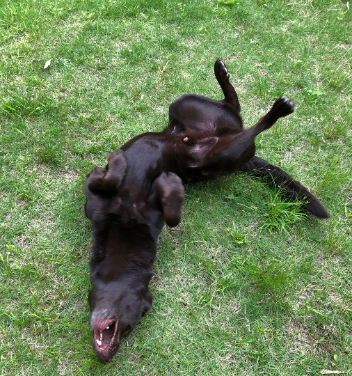 生き物ルーム第16