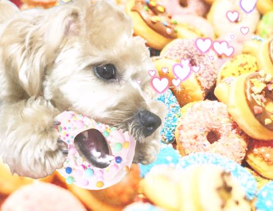 生き物ルーム第16