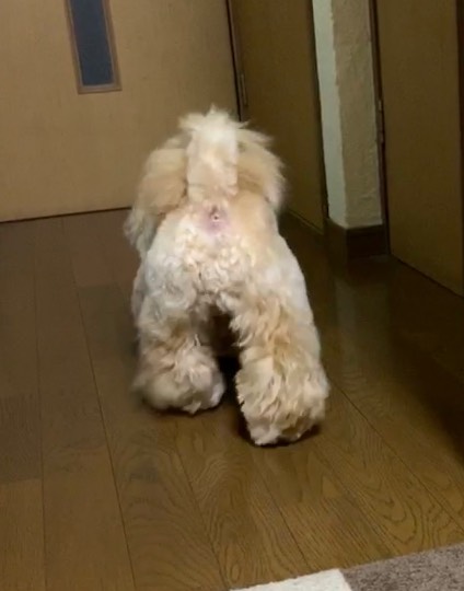 生き物ルーム第16