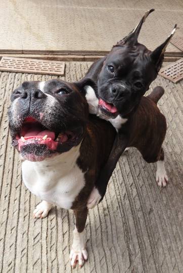 生き物ルーム第16