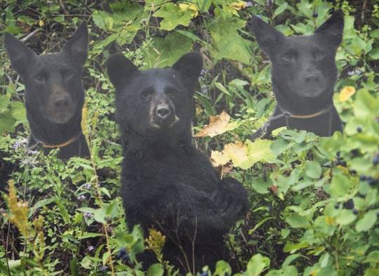 生き物ルーム第16