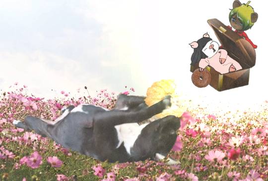 生き物ルーム第16