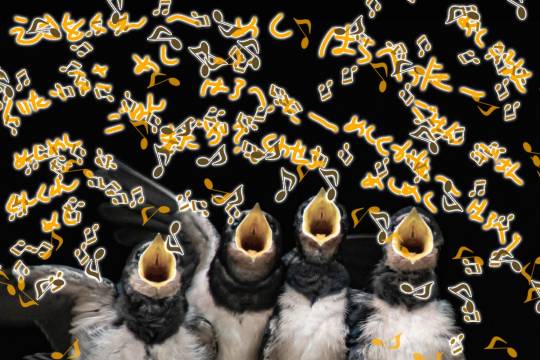 つぶやき　その54 　妄想は空を翔る