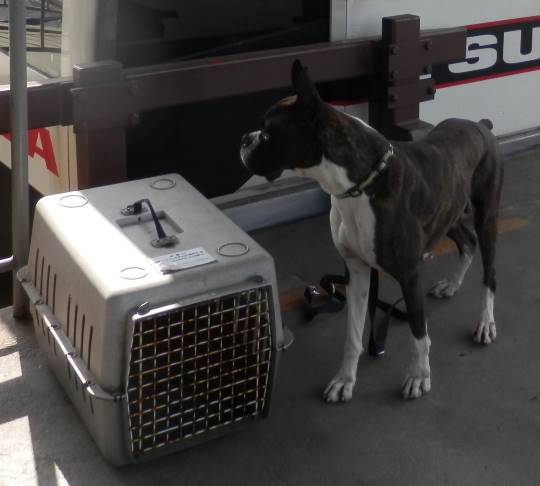 生き物ルーム第16