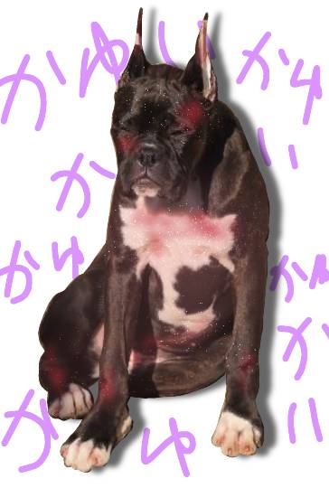 生き物ルーム第16