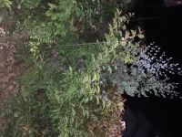 6月8日(土曜日)　かみのやま倉庫店