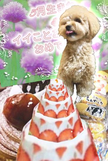 生き物ルーム第16