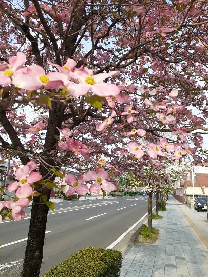 愛を込めてエアー花を、○○に～♪