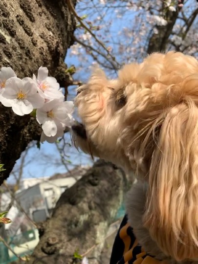 生き物ルーム第16