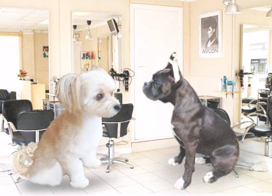 生き物ルーム第16