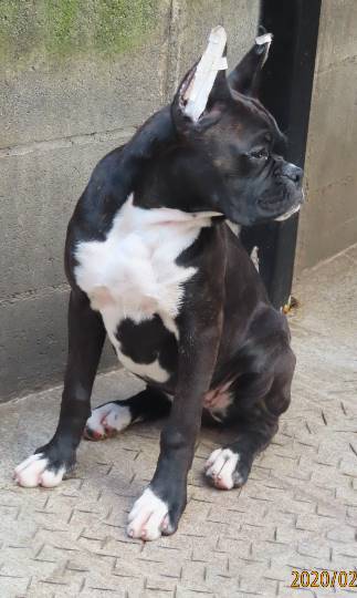 生き物ルーム第16