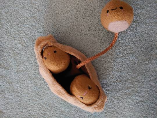 EGG'S CAFE 卵の俺達ぁ~巣籠もりのプロと言っても過言ではないな(笑)