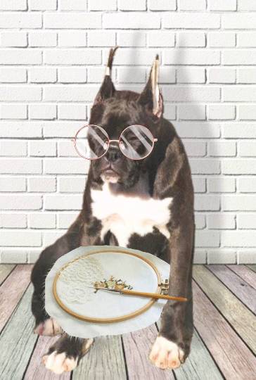 生き物ルーム第16